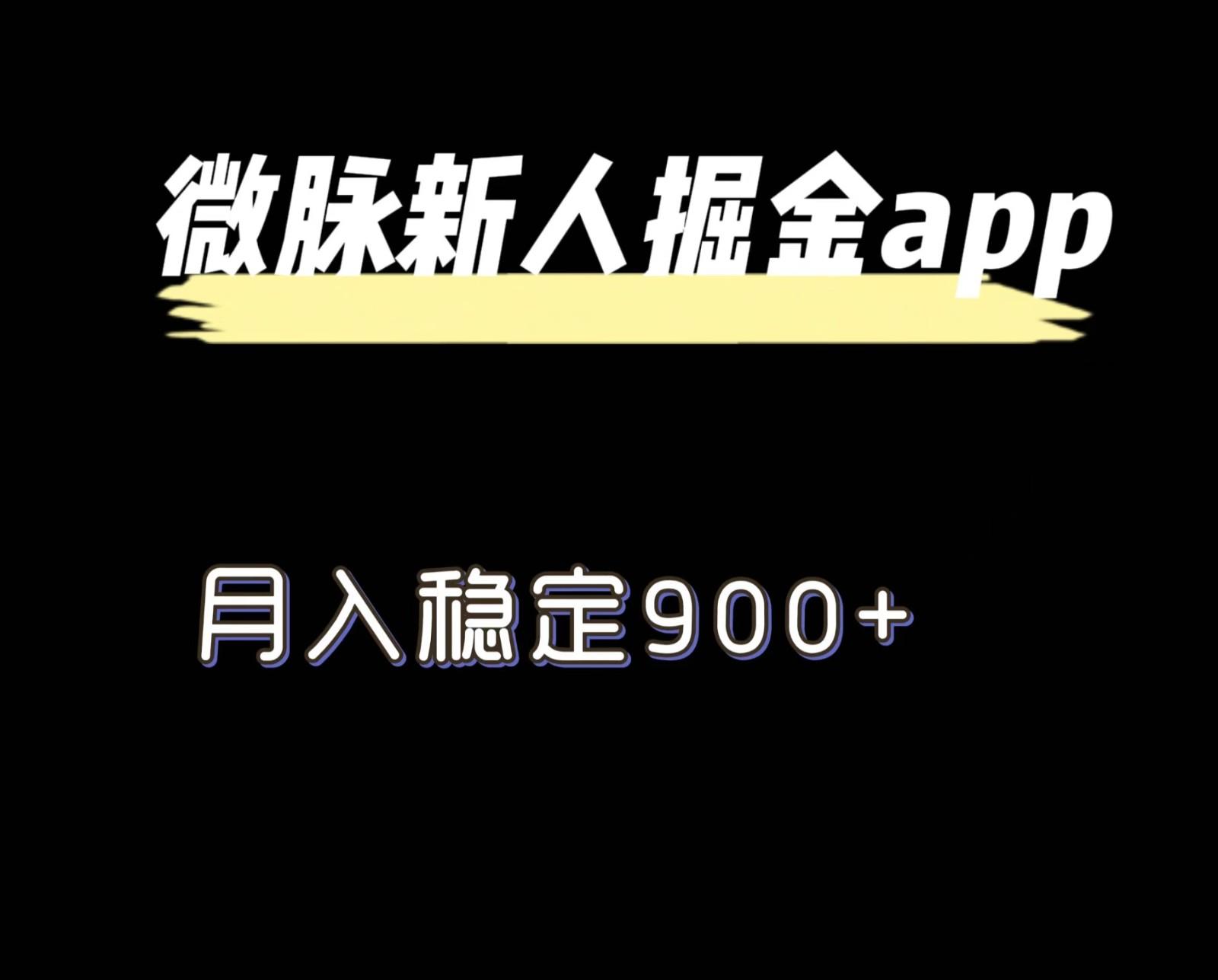 最新微脉长久项目，拉新掘金，月入稳定900+-资源社