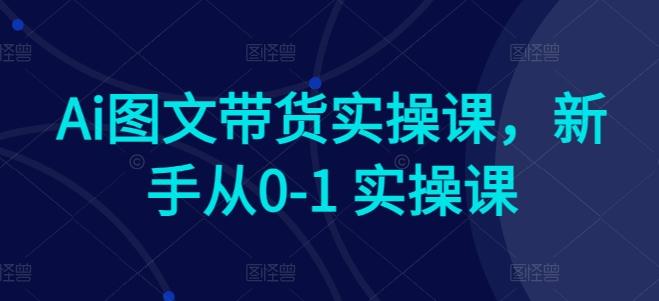 Ai图文带货实操课，新手从0-1 实操课-资源社