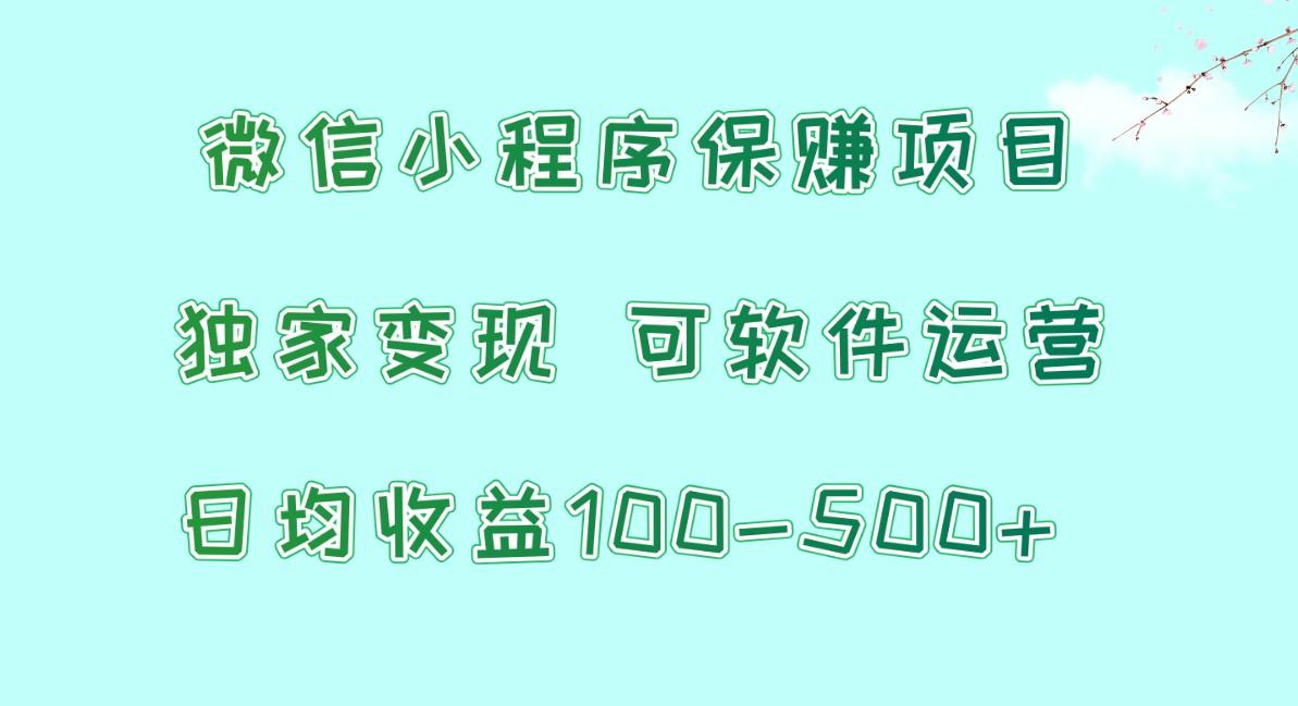 微信小程序保赚项目，日均收益100~500+，独家变现，可软件运营-资源社