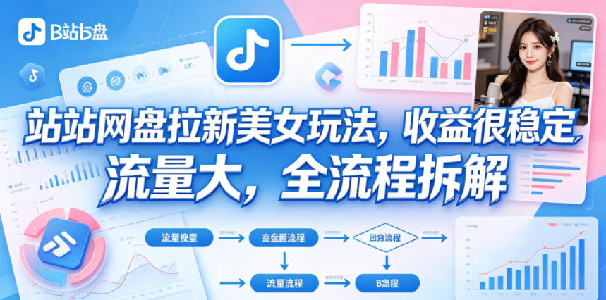 B站网盘拉新美女玩法，收益很稳定，流量大，全流程拆解-资源社
