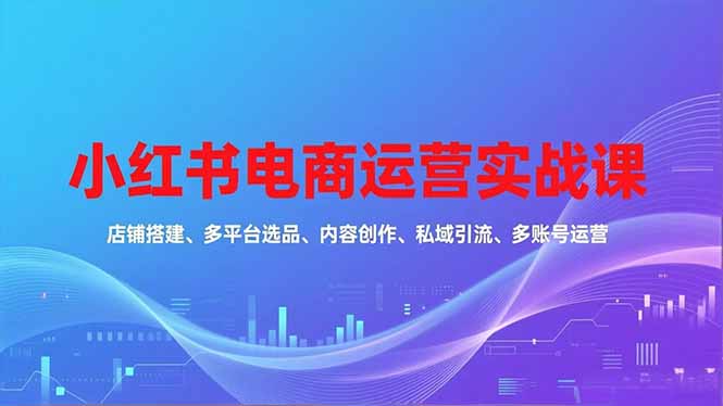 小红书电商运营实战课，店铺搭建、多平台选品、内容创作、私域引流、多账号运营等玩法-资源社