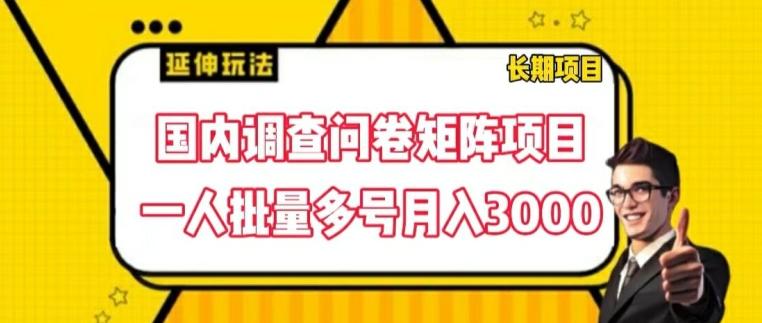 国内调查问卷矩阵项目，一人批量多号月入3000【揭秘】-资源社