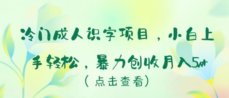 冷门成人识字项目，小白上手轻松，暴力创收月入5w+【揭秘】-资源社