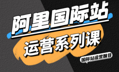 醒目老师·阿里国际站运营系列课(更新11月)-资源社