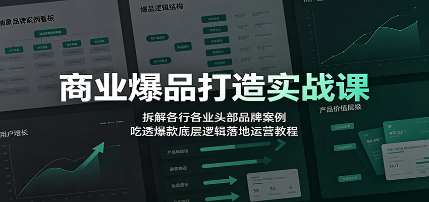 商业爆品打造实战课：拆解各行各业头部品牌案例，吃透爆款底层逻辑落地运营教程-资源社