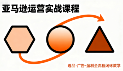 毕方电商·亚马逊全站会员课程(更新3月)-资源社