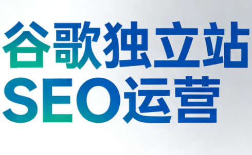 谷歌独立站SEO运营(更新2026)-资源社