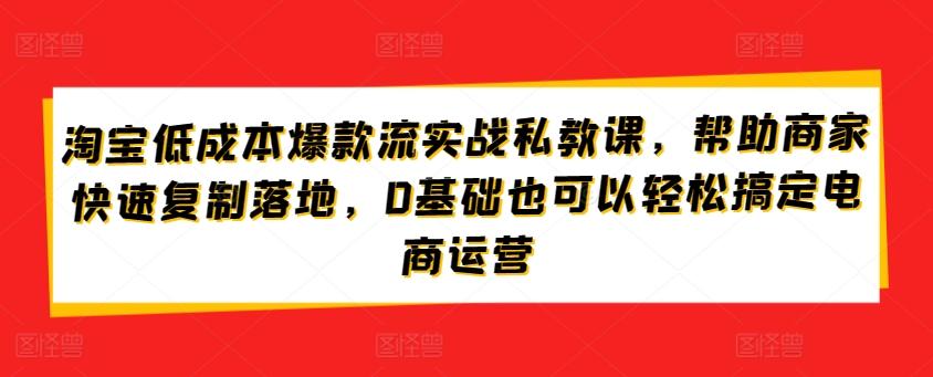 淘宝低成本爆款流实战私教课，帮助商家快速复制落地，0基础也可以轻松搞定电商运营-资源社