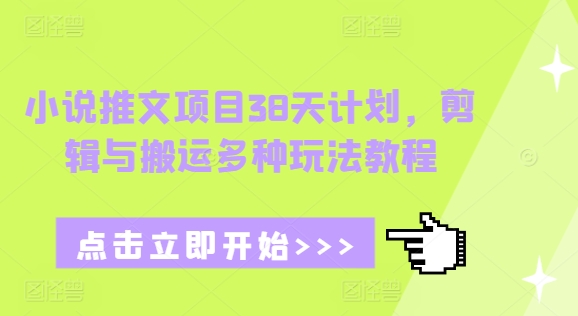 小说推文项目38天计划，剪辑与搬运多种玩法教程-资源社