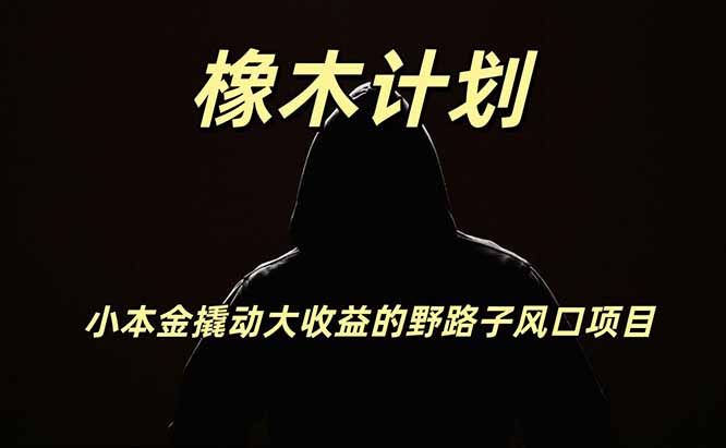 橡木计划，小投入撬动高回报的风口野路子项目，一天投入2小时左右-资源社