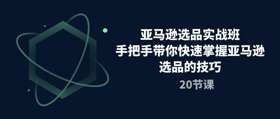 亚马逊选品实战班，手把手带你快速掌握亚马逊选品的技巧(20节课-资源社