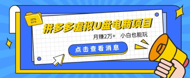 拼多多虚拟U盘电商红利项目：月赚2万+，新手小白也能玩-资源社