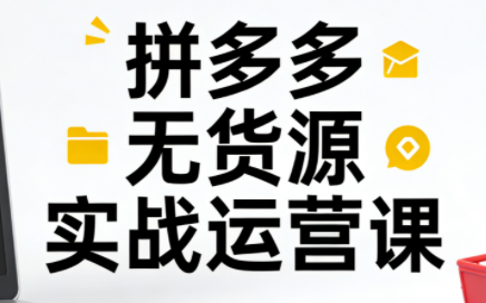 子枫老师·拼多多无货源实战运营课(更新12月)-资源社