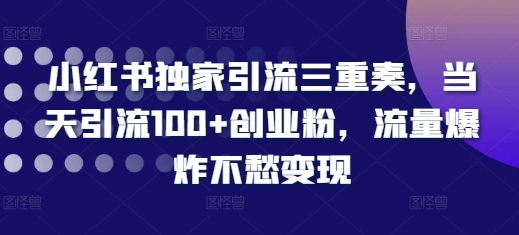 小红书独家引流三重奏，当天引流100+创业粉，流量爆炸不愁变现【揭秘】-资源社