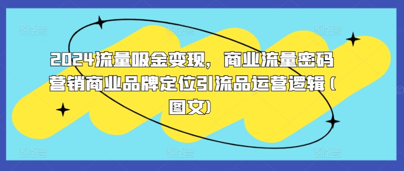 2024流量吸金变现，商业流量密码营销商业品牌定位引流品运营逻辑(图文)-资源社