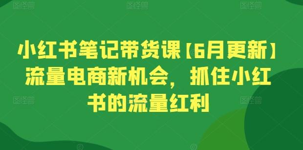 小红书笔记带货课【6月更新】流量电商新机会，抓住小红书的流量红利-资源社