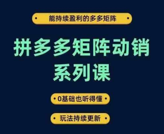 拼多多矩阵动销系列课，能持续盈利的多多矩阵，0基础也听得懂，玩法持续更新-资源社