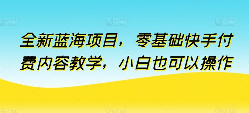 全新蓝海项目，零基础快手付费内容教学，小白也可以操作【揭秘】-资源社