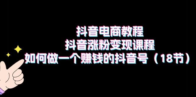 抖音电商教程：抖音涨粉变现课程：如何做一个赚钱的抖音号(18节-资源社