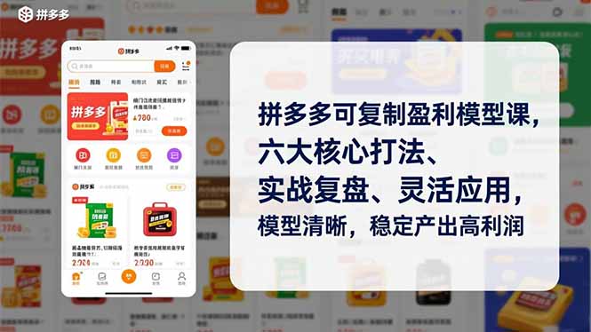 拼多多可复制盈利模型课，六大核心打法、实战复盘、灵活应用，模型清晰，稳定产出高利润-资源社