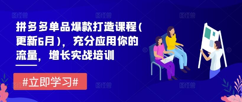 拼多多单品爆款打造课程(更新6月)，充分应用你的流量，增长实战培训-资源社