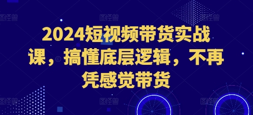 2024短视频带货实战课，搞懂底层逻辑，不再凭感觉带货-资源社