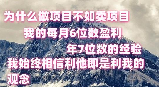 做项目不如卖项目，每月6位数盈利，年7位数经验-资源社