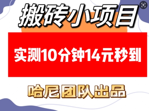 搬砖小项目，实测10分钟14元秒到，每天稳定几张(赠送必看稳定)-资源社