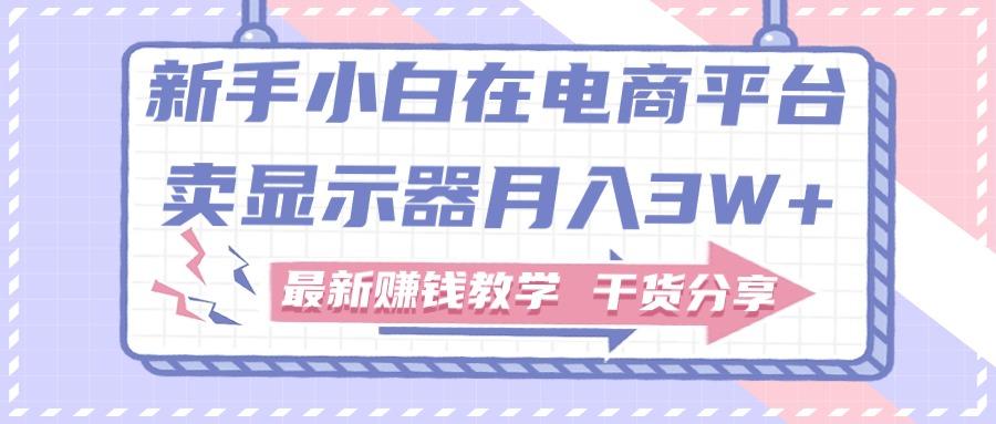 新手小白如何做到在电商平台卖显示器月入3W+，最新赚钱教学干货分享-资源社