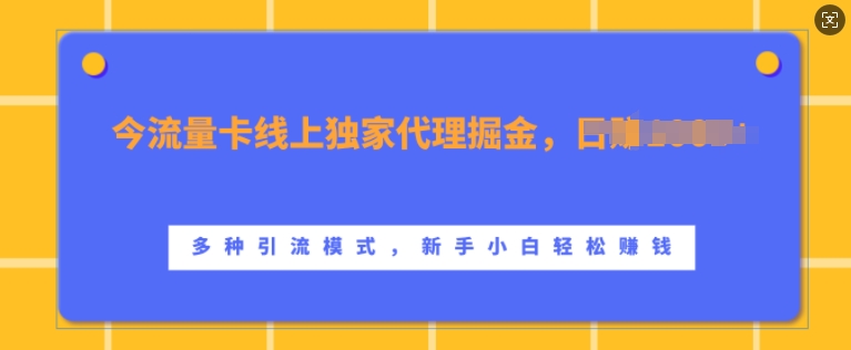 流量卡线上独家代理掘金，日入1k+ ，多种引流模式，新手小白轻松上手【揭秘】-资源社