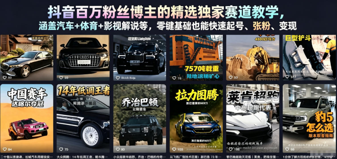 抖音百万粉丝博主的精选独家赛道教学，涵盖汽车+体育+影视解说等，零基础也能快速起号、涨粉、变现-资源社