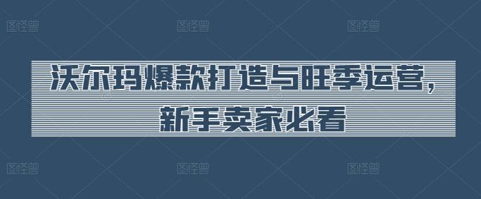 沃尔玛爆款打造与旺季运营，新手卖家必看-资源社