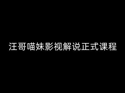 汪哥影视解说正式课程：剪映/PR教学/视解说剪辑5大黄金法则/全流程剪辑7把利器等等-资源社