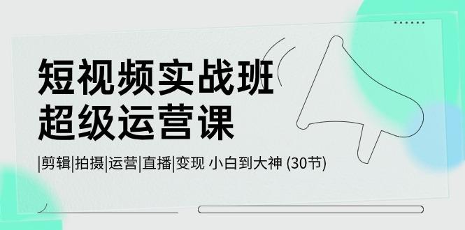 短视频实战班超级运营课 |剪辑|拍摄|运营|直播|变现 小白到大神 (30节)-资源社