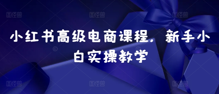 小红书高级电商课程，新手小白实操教学-资源社