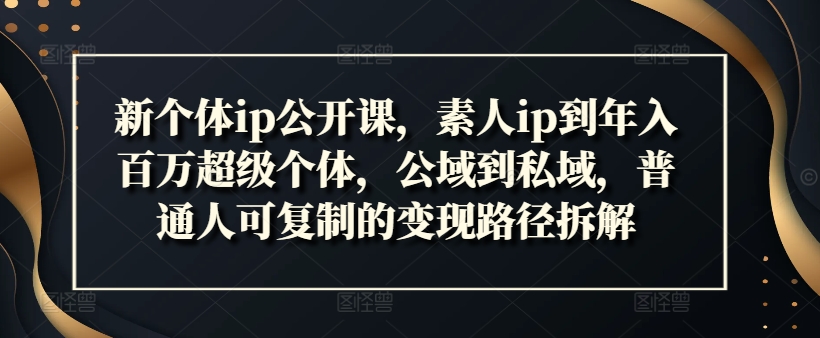 新个体ip公开课，素人ip到年入百万超级个体，公域到私域，普通人可复制的变现路径拆解-资源社