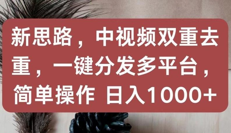 新思路，中视频双重去重，一键分发多平台，简单操作，日入1000+【揭秘】-资源社