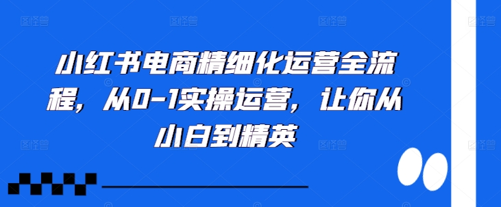 小红书电商精细化运营全流程，从0-1实操运营，让你从小白到精英-资源社