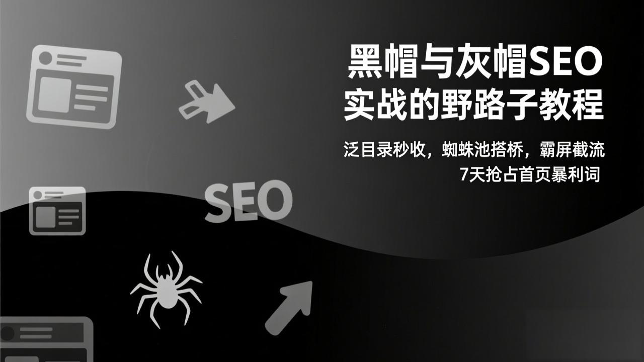 黑帽与灰帽SEO实战的野路子教程：泛目录秒收，蜘蛛池搭桥，霸屏截流，7天抢占首页暴利词-资源社