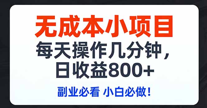 无成本小项目,每天操作几分钟,日收益800+ 副业必看 小白必做!-资源社