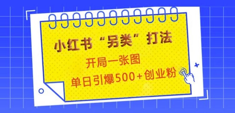 小红书“另类”打法，开局一张图，单日引爆500+精准创业粉【揭秘】-资源社