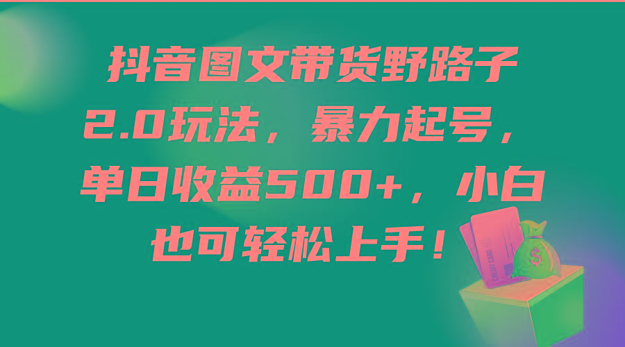 (9790期)抖音图文带货野路子2.0玩法，暴力起号，单日收益500+，小白也可轻松上手！-资源社