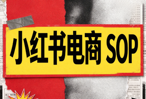 书豪必胜小红书电商sop(更新9月)-资源社