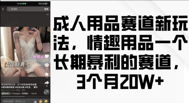 成人用品赛道新玩法，情趣用品一个长期暴利的赛道，3个月收益20个【揭秘】-资源社