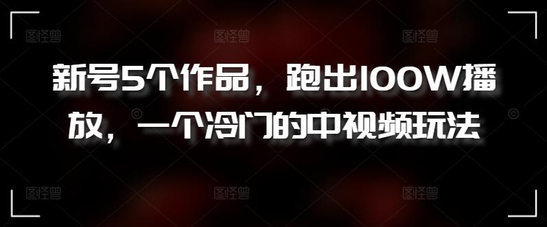 新号5个作品，跑出100W播放，一个冷门的中视频玩法【揭秘】-资源社