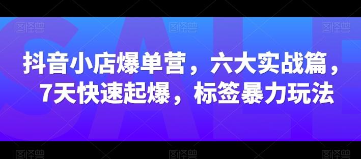 抖音小店爆单营，六大实战篇，7天快速起爆，标签暴力玩法-资源社