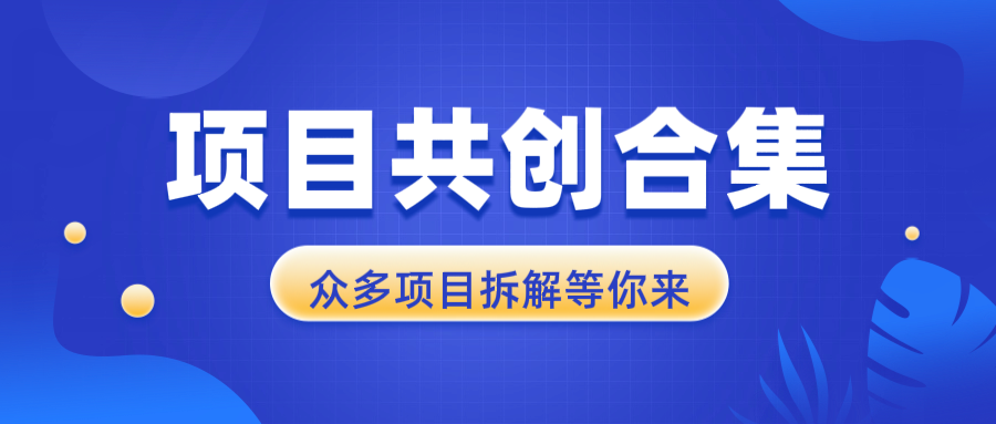 项目共创合集，从0-1全过程拆解，让你迅速找到适合自已的项目-资源社