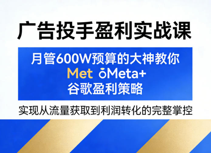 广告投手盈利实战课，月管600W预算的大神教你Meta+谷歌盈利策略，实现从流量获取到利润转化的完整掌控-资源社