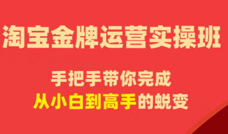 飓风电商·淘宝金牌运营实操班-资源社