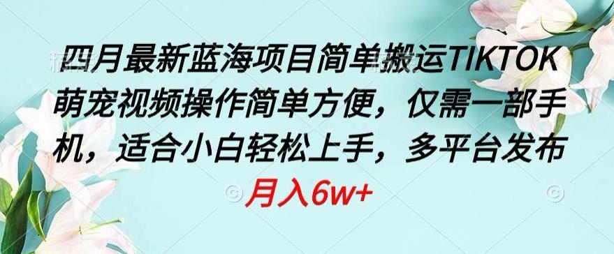 四月最新蓝海项目，简单搬运TIKTOK萌宠视频，操作简单方便，仅需一部手机【揭秘】-资源社